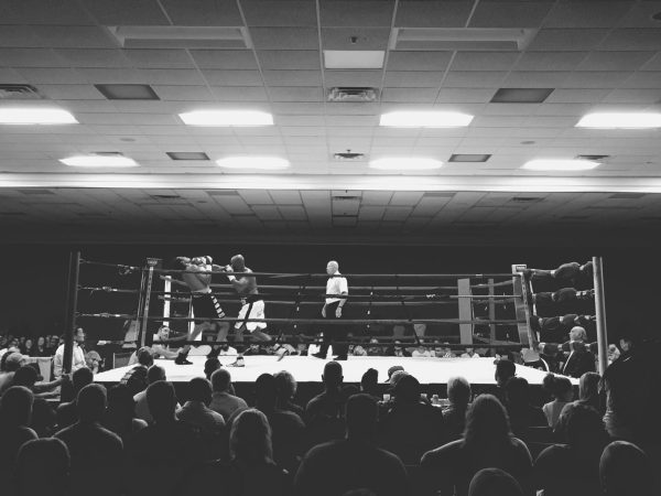 52901621_2195660593826920_2830333364450361344_o