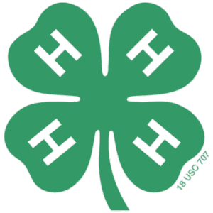 4-H Logo
